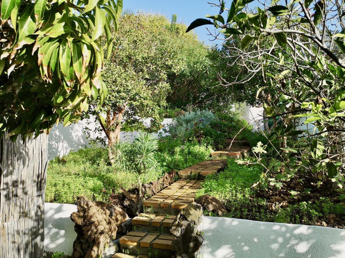 فيلا Nanou House La Matanza De Acentejo المظهر الخارجي الصورة